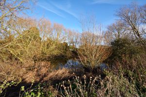 Photo 17- click for photo gallery